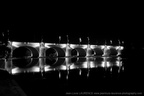 DSC07603 BW