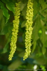 DSC04354