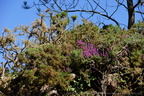 DSC04435