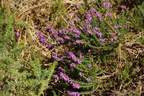 DSC04447