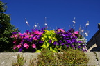 DSC04466