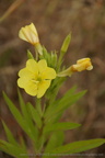 DSC04258
