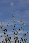 DSC04227
