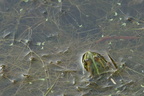 DSC07119