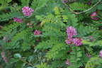 DSC03525