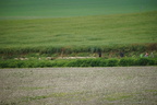DSC06474