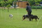 DSC06376