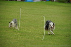 DSC06432