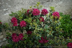 DSC09218
