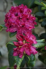 DSC09220
