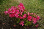 DSC09221