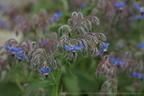 DSC09005