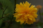 DSC09002