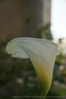 DSC09165