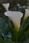DSC09166