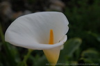 DSC09164