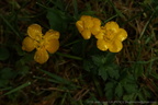 DSC08537