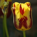 DSC03037