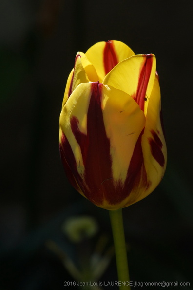 DSC03038.JPG