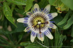DSC05001