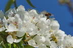 DSC07898