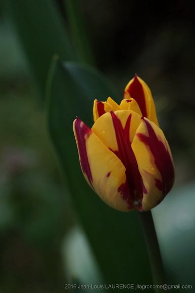 DSC07870.JPG