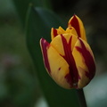 DSC07870
