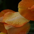 DSC07864