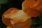 DSC07864