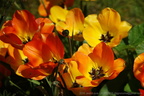 DSC07837