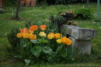 DSC07796