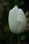 DSC02835