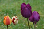 DSC02820
