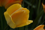DSC02826