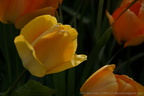 DSC02828