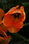 DSC02830