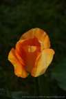 DSC02831