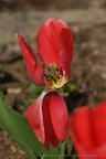 DSC07747