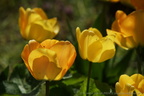 DSC07740