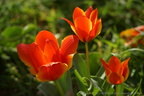 DSC07676