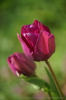 DSC07678