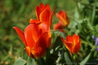 DSC07651