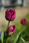 DSC07660