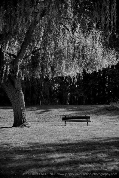 DSC08678 BW - DSC08678_BW.JPG DSC08678_BW.JPG