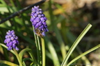 DSC07050