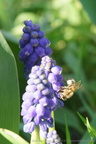 DSC07040
