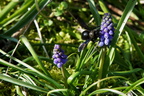 DSC06606