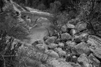 DSC04911 BW