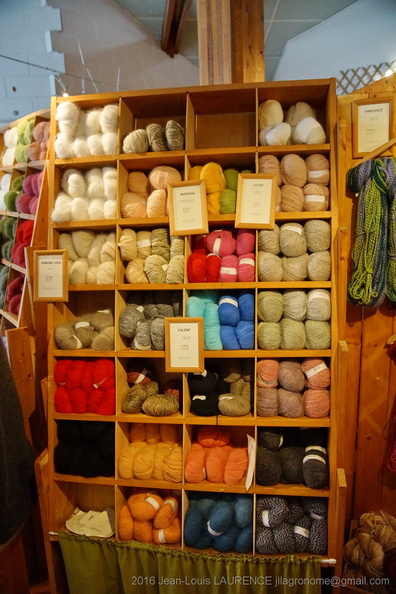 DSC06239 - DSC06239.JPG DSC06239.JPG
