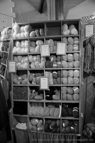 DSC06239 BW